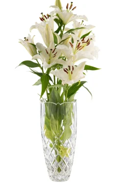 Renmore 12" Vase<Galway Crystal Outlet